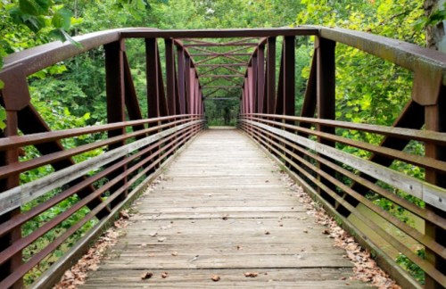 A wooden bridge with a metal frame, surrounded by lush greenery, leading into a serene forested area.