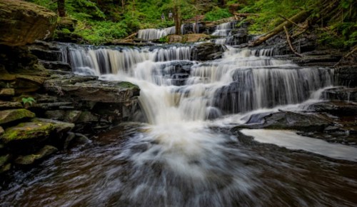 A serene waterfall cascading over rocky ledges, surrounded by lush green foliage in a tranquil forest setting.