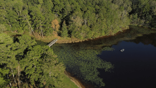 Aerial view of a serene lake surrounded by lush trees, featuring a small bridge and a boat on the water.
