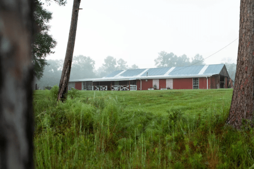 A red barn with a metal roof surrounded by green grass and trees in a misty landscape.