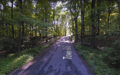 A winding road through a lush green forest, with sunlight filtering through the trees. "Tower Hill" is visible on the pavement.