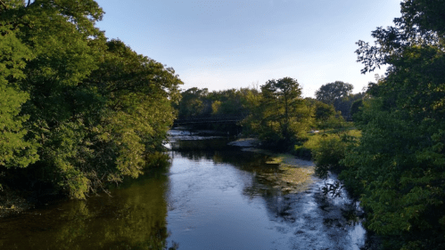 A serene river scene surrounded by lush green trees under a clear blue sky.