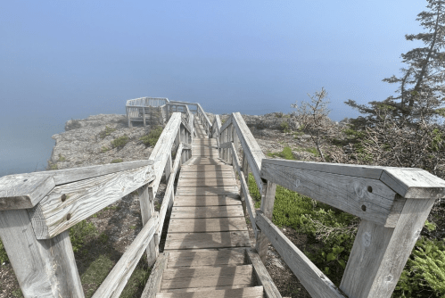 A wooden staircase leads down to a foggy cliffside overlooking a calm body of water. Green foliage surrounds the area.