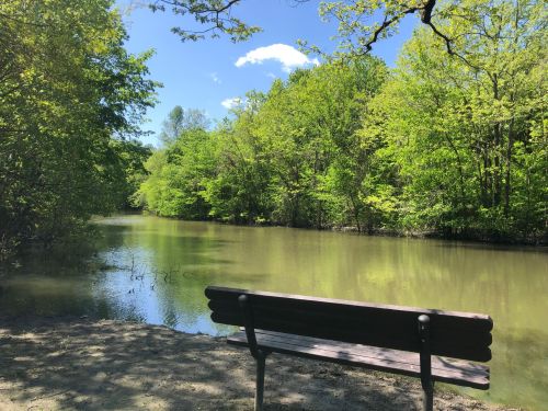 A serene river scene with a bench by the water, surrounded by lush green trees and a clear blue sky.
