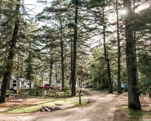 A serene campsite surrounded by tall trees, with a winding dirt road and parked RVs in a peaceful natural setting.