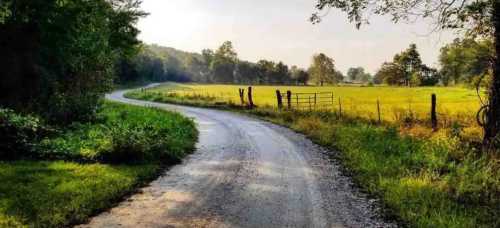 A winding dirt road curves through a lush green landscape with trees and a sunny field in the background.