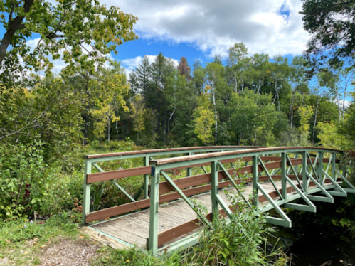 A wooden bridge crosses a small stream, surrounded by lush green trees and a bright blue sky with clouds.