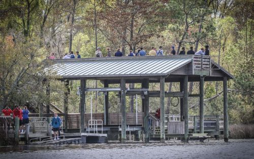 A wooden dock with people gathered on top, surrounded by trees and water, on a calm day.