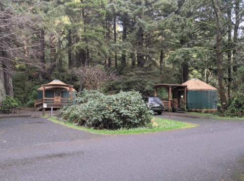 Two rustic cabins surrounded by trees, with a car parked nearby and a small bush in the foreground.