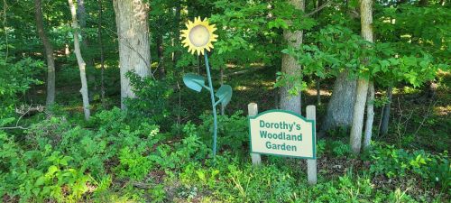 A sign for "Dorothy's Woodland Garden" next to a large sunflower sculpture in a lush green forest.