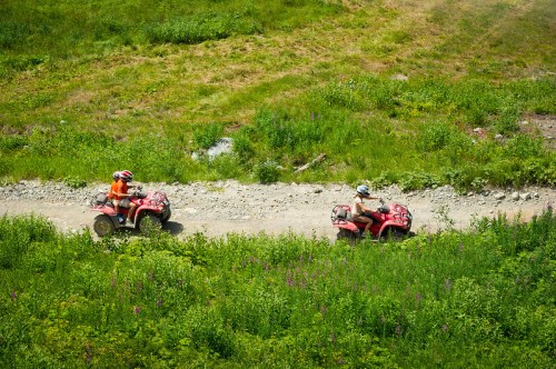 Two people riding ATVs on a dirt path surrounded by lush green grass and wildflowers.