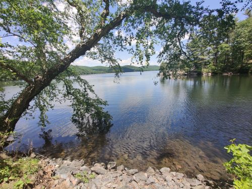 A serene lake surrounded by trees and mountains, with clear blue skies reflecting on the water's surface.