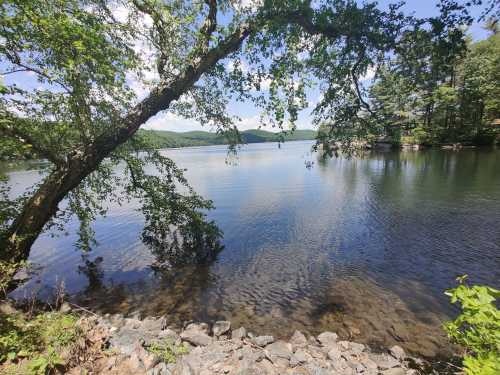 A serene lake surrounded by trees and mountains, with clear blue skies reflecting on the water's surface.