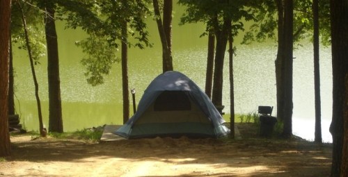 A blue tent set up by a calm, green lake surrounded by trees.