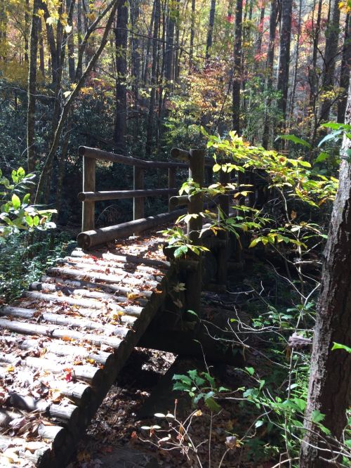 A wooden bridge surrounded by colorful autumn foliage in a forest. Sunlight filters through the trees.
