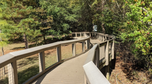 A winding wooden boardwalk surrounded by trees in a natural setting.