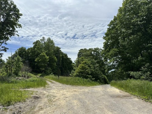 A gravel road splits into two paths, surrounded by lush greenery and a cloudy sky above.