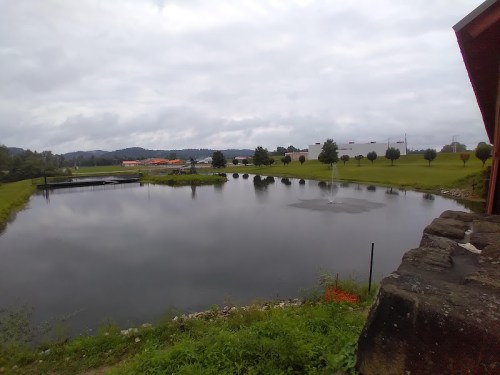 A calm pond surrounded by greenery and trees, with a cloudy sky overhead and a building in the background.