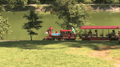 A small red train with a blue engine travels along a grassy area near a calm body of water.