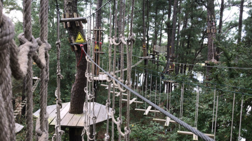 A treetop adventure course with wooden platforms and rope obstacles surrounded by dense trees.