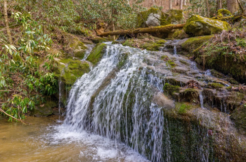 A serene waterfall cascades over moss-covered rocks in a lush, green forest setting.
