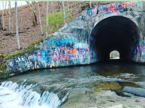 A concrete tunnel with colorful graffiti, surrounded by trees, with a stream flowing in front.