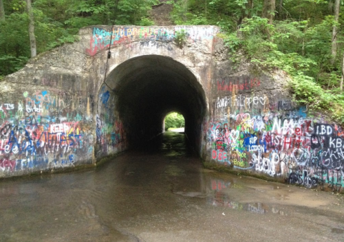 A dark tunnel surrounded by colorful graffiti, with a wet floor reflecting the light at the far end. Lush greenery surrounds it.
