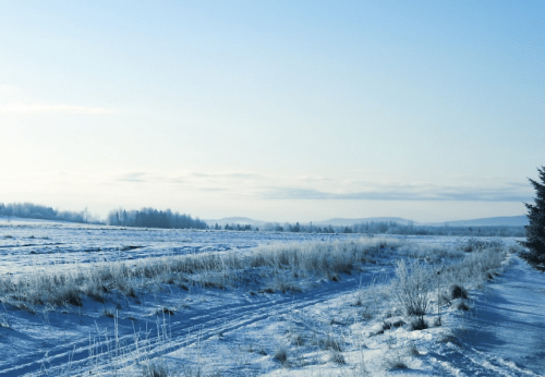 A serene winter landscape with a snowy field, distant hills, and a clear blue sky.