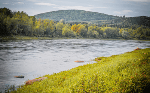 A serene river flows beside lush green banks and rolling hills under a cloudy sky.