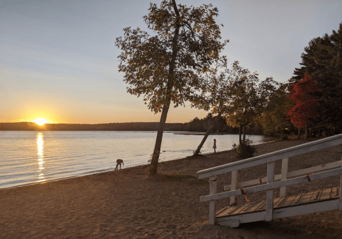 A serene beach at sunset, with trees, calm water, and a person walking along the shore.