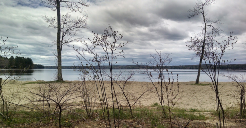 A serene lakeside view with sandy shore, bare trees, and cloudy skies reflecting on the calm water.