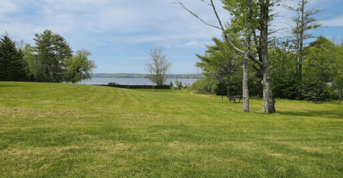 A serene landscape featuring a grassy field, trees, and a view of a calm lake under a blue sky.
