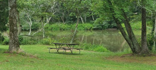 A peaceful picnic area with a table by a calm river, surrounded by lush greenery and trees.