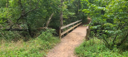 A wooden bridge spans a small path through a lush, green forest with dense foliage on either side.