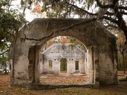 Ruins of an old stone building surrounded by trees and fallen leaves, with moss hanging from branches.