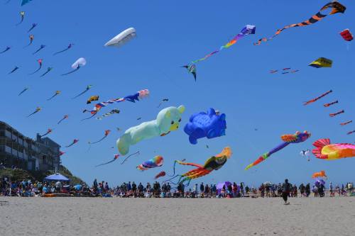 Colorful kites of various shapes soar in a clear blue sky above a crowded beach on a sunny day.