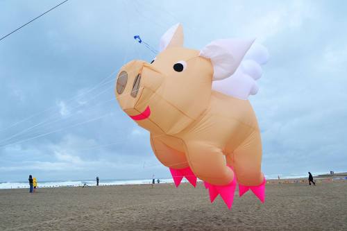 A large inflatable pig kite with pink accents flying over a sandy beach, with people in the background.