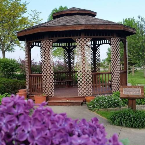 A wooden gazebo with lattice sides surrounded by greenery and purple flowers in a peaceful park setting.