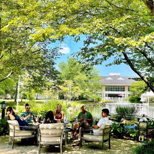 A group of six people relaxes in a garden setting, surrounded by greenery and a pond, enjoying a sunny day.