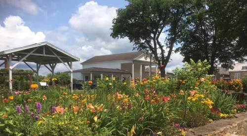 A vibrant flower garden in full bloom, with a gazebo and a building in the background under a partly cloudy sky.