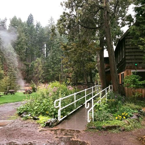 A wooden pathway leads through lush greenery to a rustic building, surrounded by tall trees and misty scenery.