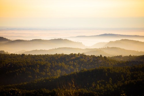A serene landscape of layered mountains and forests shrouded in mist, illuminated by a warm golden light.