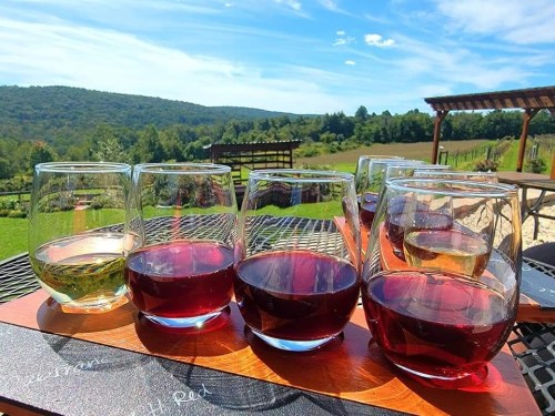 A wooden flight board with glasses of white and red wine, set against a scenic outdoor landscape with blue skies.