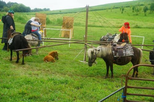 A group of people with horses in a grassy field, some interacting with the animals and others observing nearby.