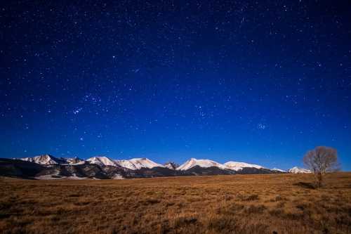 A clear night sky filled with stars above a snowy mountain range and a grassy field, illuminated by moonlight.