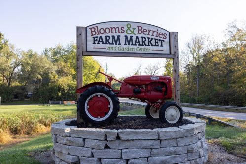 Sign for Blooms & Berries Farm Market featuring a vintage red tractor on a stone base, surrounded by greenery.