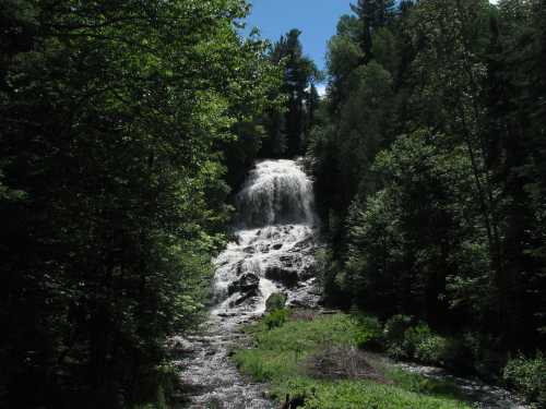 A cascading waterfall surrounded by lush green trees and foliage under a clear blue sky.