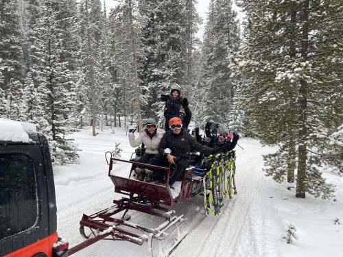 A group of people enjoying a snowy sleigh ride through a forest, smiling and waving at the camera.