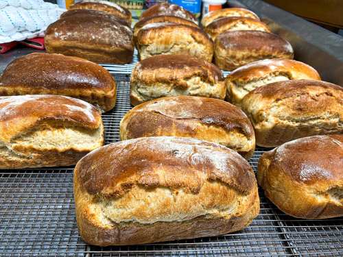 Freshly baked loaves of bread cooling on a wire rack, showcasing a golden-brown crust.
