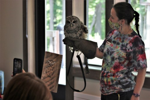 A person in a tie-dye shirt holds an owl on their arm while showing an owl drawing to an audience.